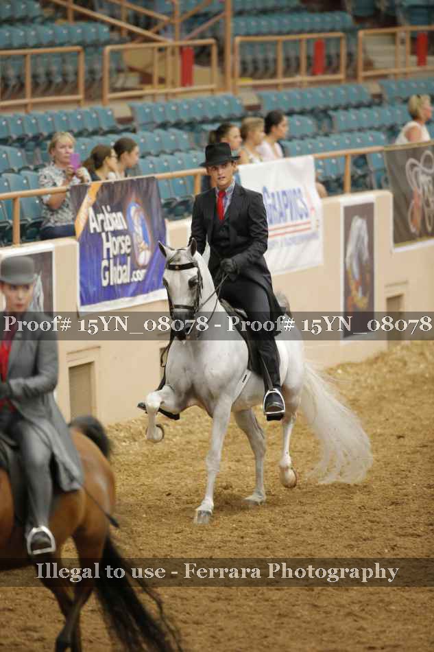Proof Number 15YN_08078