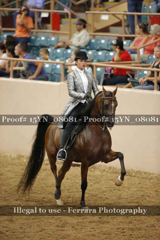 Proof Number 15YN_08081