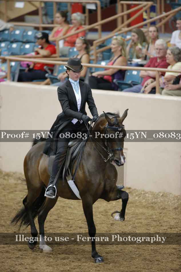 Proof Number 15YN_08083