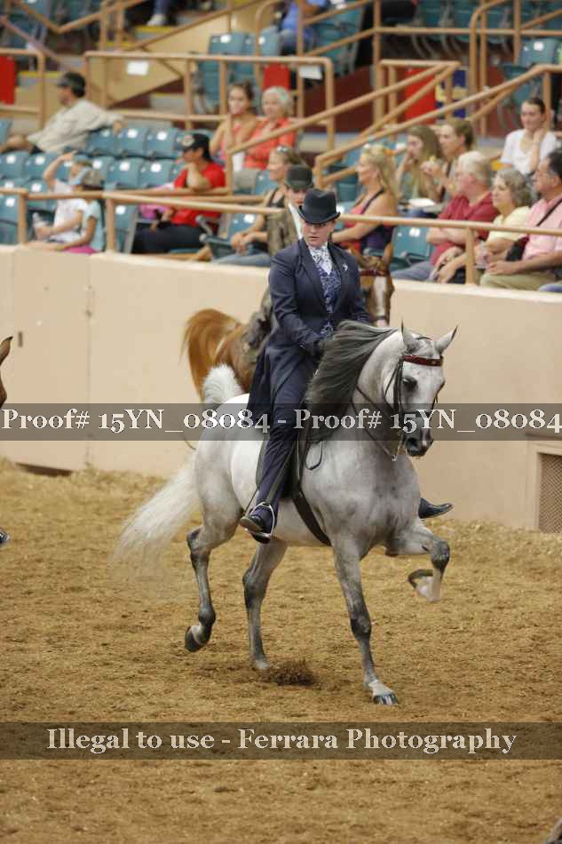 Proof Number 15YN_08084
