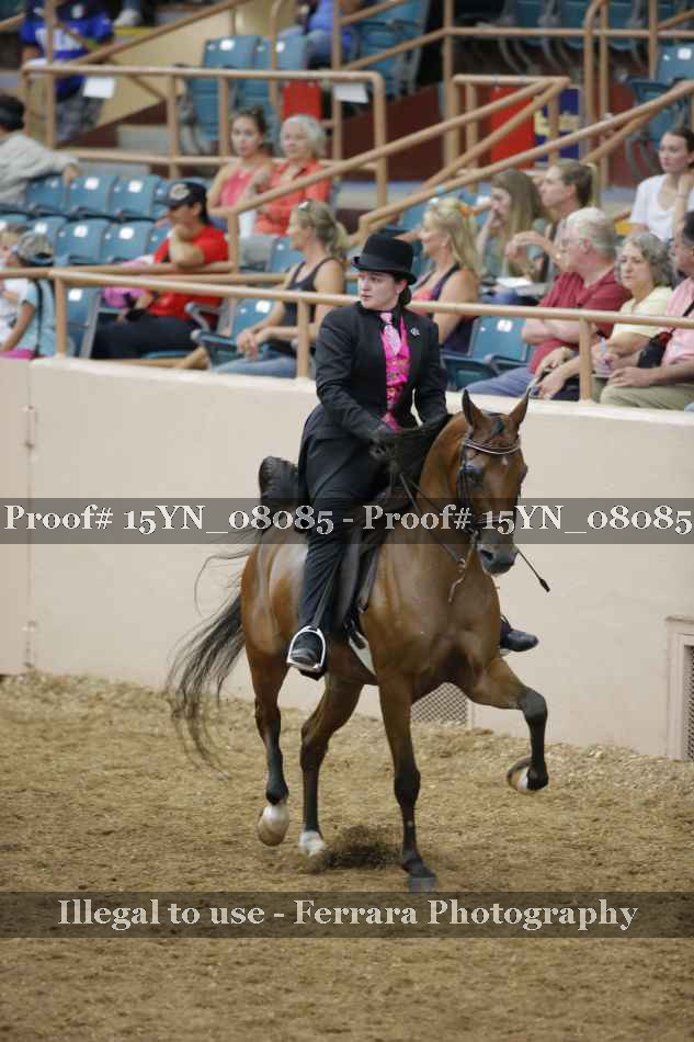 Proof Number 15YN_08085
