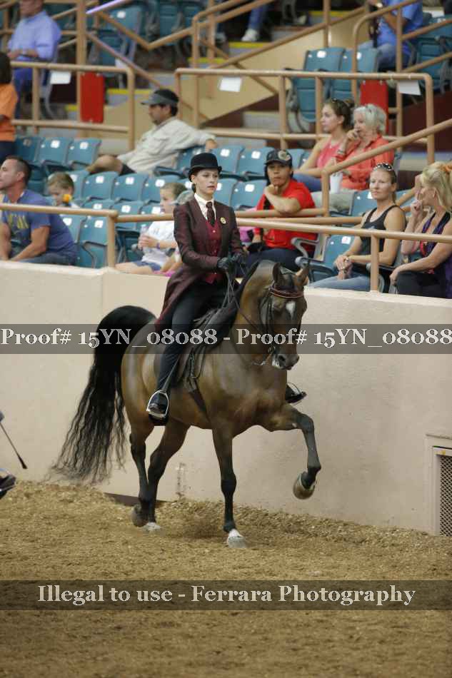 Proof Number 15YN_08088