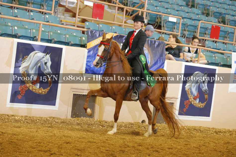 Proof Number 15YN_08091