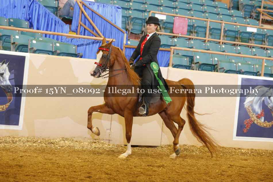 Proof Number 15YN_08092