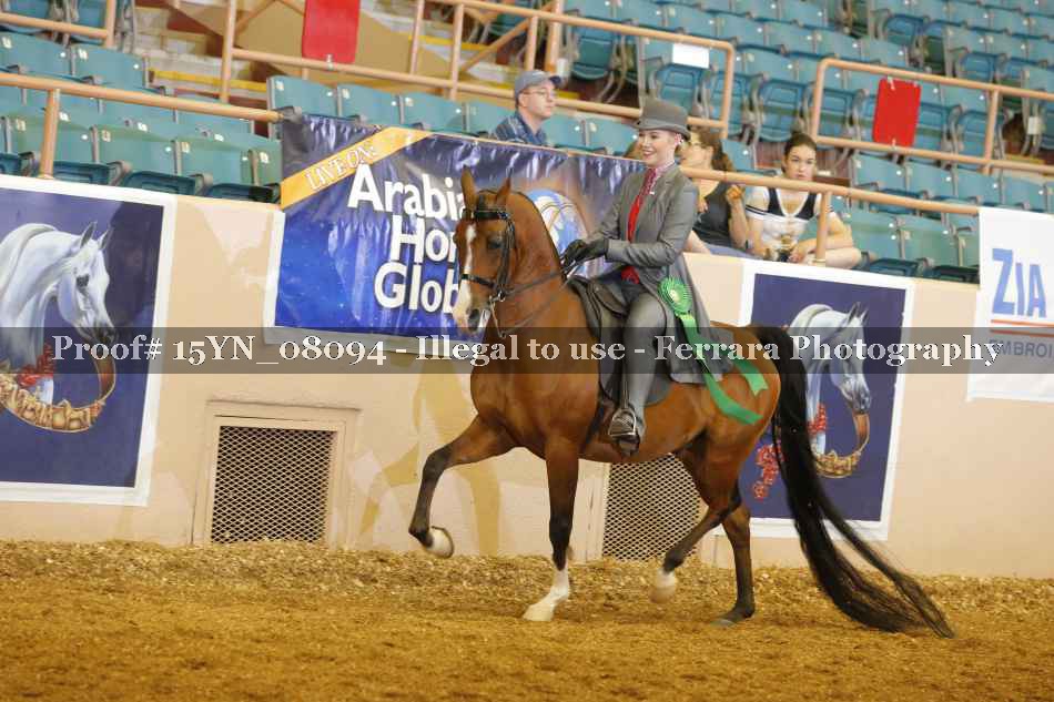 Proof Number 15YN_08094