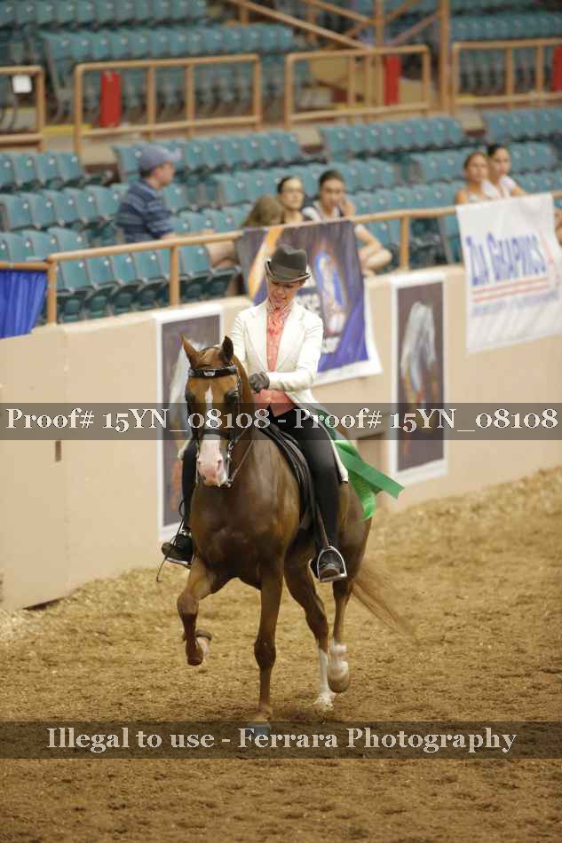 Proof Number 15YN_08108