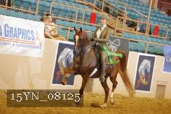 15YN_08125 thumbnail