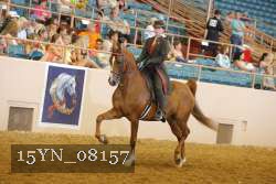 15YN_08157 thumbnail