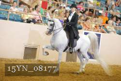 15YN_08177 thumbnail