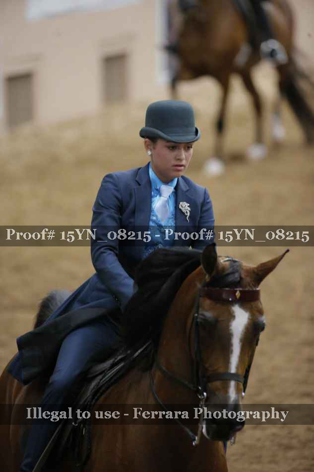 Proof Number 15YN_08215