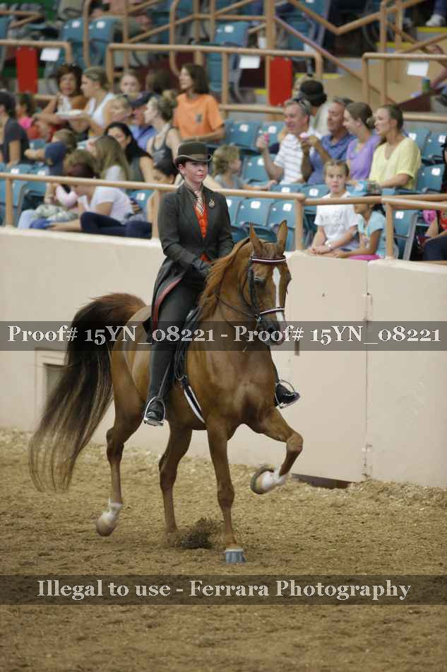 Proof Number 15YN_08221
