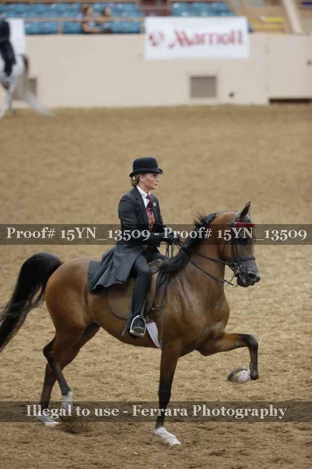 Proof Number 15YN_13509