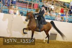 15YN_13530 thumbnail