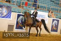15YN_13575 thumbnail