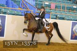 15YN_13576 thumbnail