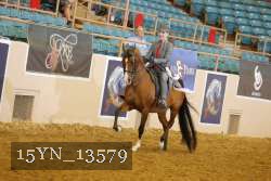 15YN_13579 thumbnail