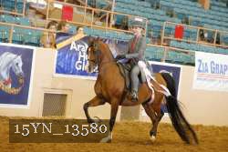15YN_13580 thumbnail