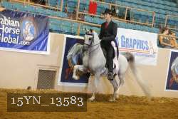 15YN_13583 thumbnail