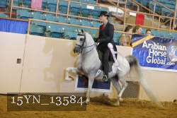 15YN_13584 thumbnail