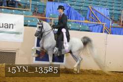 15YN_13585 thumbnail