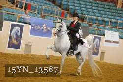 15YN_13587 thumbnail
