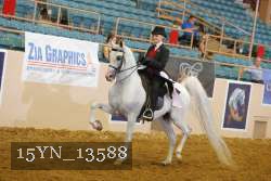 15YN_13588 thumbnail