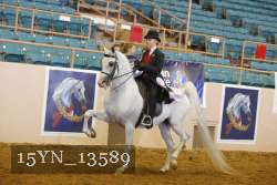 15YN_13589 thumbnail