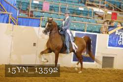 15YN_13592 thumbnail