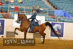 15YN_13601 thumbnail