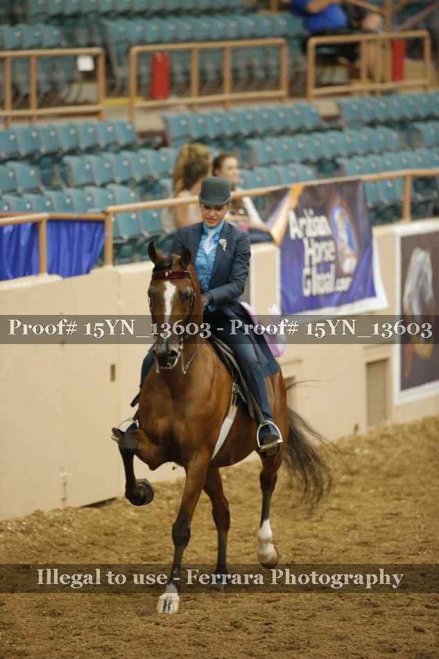 Proof Number 15YN_13603