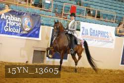 15YN_13605 thumbnail