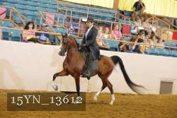 15YN_13612 thumbnail