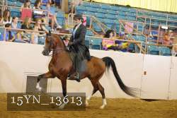 15YN_13613 thumbnail