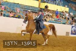 15YN_13615 thumbnail
