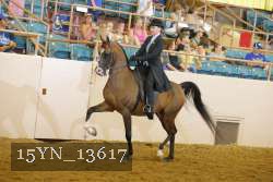 15YN_13617 thumbnail
