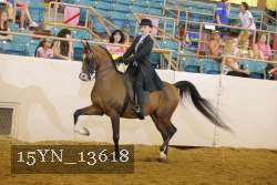 15YN_13618 thumbnail