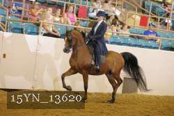 15YN_13620 thumbnail
