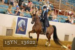 15YN_13622 thumbnail