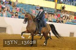 15YN_13628 thumbnail