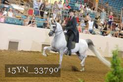 15YN_33790 thumbnail