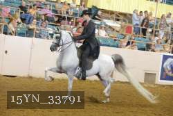 15YN_33791 thumbnail