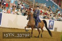 15YN_33792 thumbnail