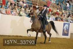 15YN_33793 thumbnail