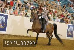 15YN_33796 thumbnail