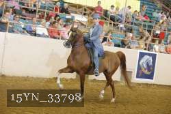 15YN_33798 thumbnail