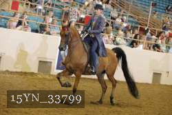 15YN_33799 thumbnail