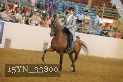 15YN_33800 thumbnail