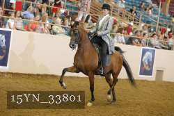 15YN_33801 thumbnail