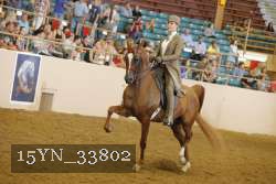 15YN_33802 thumbnail