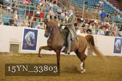 15YN_33803 thumbnail